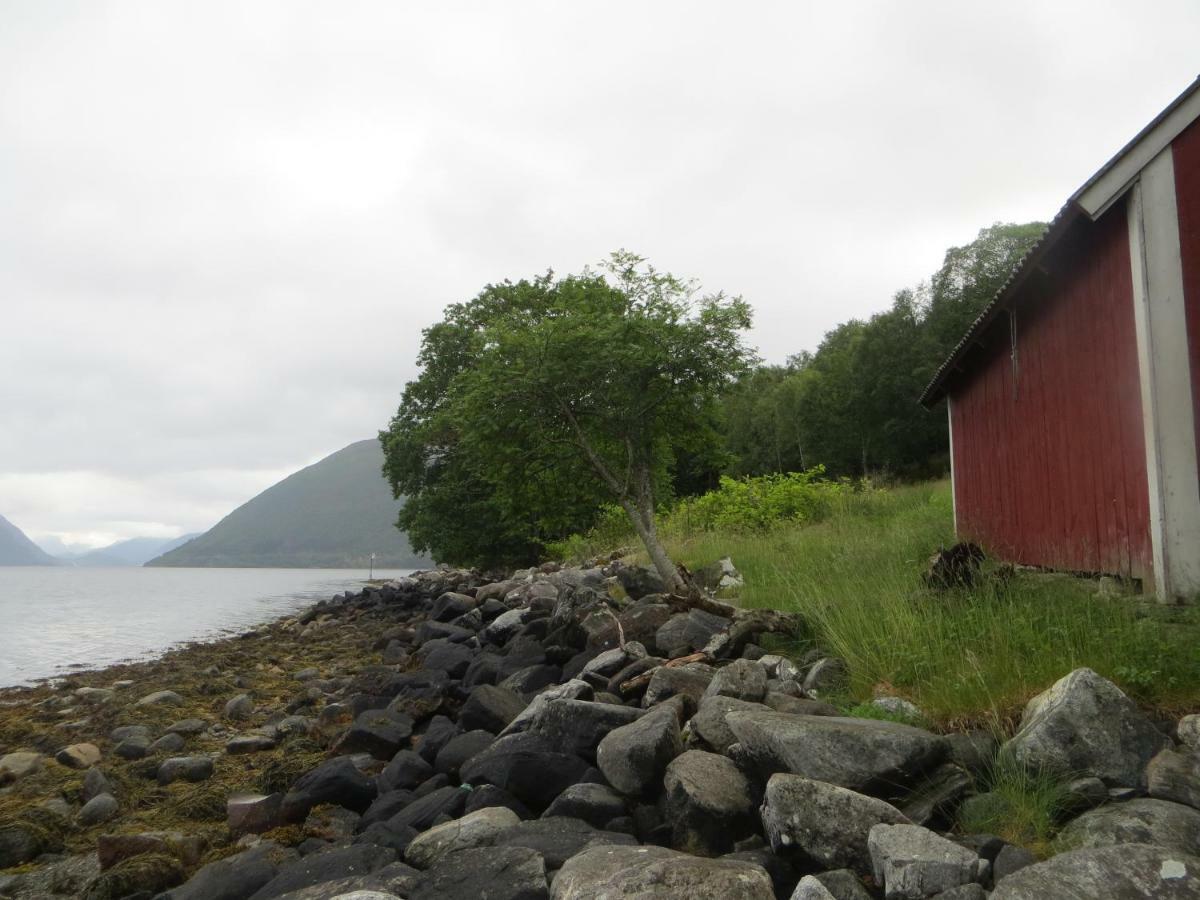 Tiny House With Fjordview! Villa Lauvstad Екстериор снимка